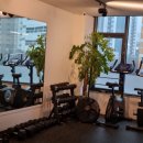 피티온도 이미지