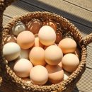 [농부떡팜님] 피칸이 들어가 고소한 구움떡 맛보기 이미지
