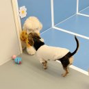 견생맛스토어 | 고대표님 2025년 12월 일상