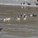 정양늪생명길 이미지