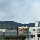 봉 게임장 | 3일차 시미즈항 참치맛집, 말차맛집 나나야, 타르트맛집 키르훼봉, 와사비전문점 타마루야본점 방문 후기