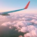 꼬뜨리아 이미지