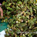 홍천노내골농장 이미지