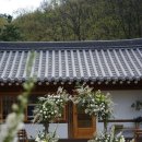 숲과한옥