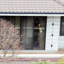 삼성동-12 이미지