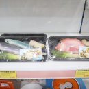 야옹아멍멍해봐 속초점 이미지