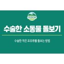 그루밍포유 이미지