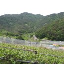 적덕농장 이미지