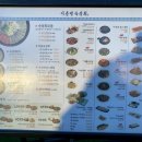 평천로 400 앞 이미지