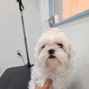 포도미용실 - 양평군 | 포도미용실