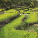 두모마을 이미지