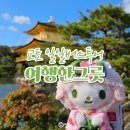 오사카 출발 교토 당일투어 코스 여행한그릇 가성비 패키지 하루 일정 찐만족 후기
