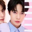 도영1호 이미지