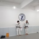 루카스레프리주짓수 네이버블로그