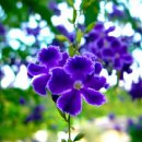 멋진인생 이미지