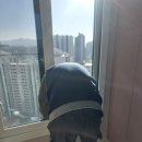 [입주청소/새집증후군 후기] 청정구역