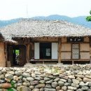 사의재안내소 Daum카페