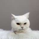 멍분의 멍 이미지