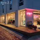 펑키애견 | 삼성동애견샵 펑키코코 건강하고 이쁜 반려견/반려묘를 위한