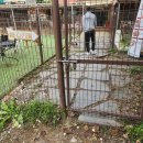 러블리독 애견카페 | 반려견 없이도 방문 가능한 파주 애견카페 추천 독스테이션 솔직후기 | 파주 애견동반 맛집