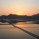 서해안농장 이미지