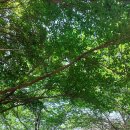 길치근린공원(2) 이미지