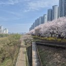 직장병행 공기업 이직하기 (3/30~4/5) | 한전 서류합격, 경기통합채용 필기, 남부발전 필기