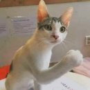 백수한의원 이미지