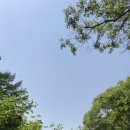 훈세탁소