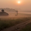 안성목장 이미지