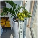 솔루션세무회계컨설팅