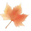 풍무초병설유치원 이미지