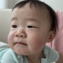 도리도리 젬