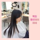 목동역 미용실 플랜제이 헤어 샤이닝 케어 후기