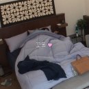 다이마루어뮤즈 | 내가고2라니