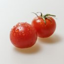 방울토마토는 꼭지 떼고, 수박은 깍둑썰고… 여름철 ‘채소·과일 보관법’ 이미지