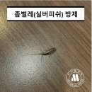 하이엠방역