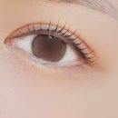 원뷰티(WON BEAUTY)