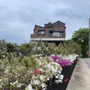 도호농장 이미지