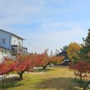 다감농원 이미지