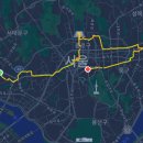 3일간 72km걸은 뚜벅이의 2박 3일 서울 혼자여행 2일차 - 덕수궁, 경복궁, 동묘