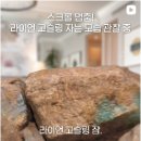 (주)테크비즈니스랜드 모비인사이드