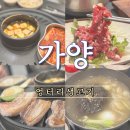 엉터리 생고기 | 가양역 삼겹살 맛집 엉터리생고기 돼지스페셜 메뉴 후기!