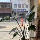 광산문화사 네이버블로그