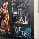 [영등포구청 PT샵] 원짐 영등포구청점 : 김연아 선수님 트레이닝 씬 지도한 대표님이 알려주는 PT