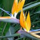 서부도서관 동편 이미지