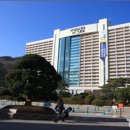 풀그리다 이미지