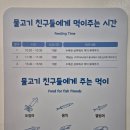 준이푸드 | 부산 영도 국립해양박물관 아이랑가볼만한곳 어린이박물관 예약방문후기
