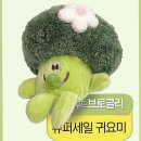 핑크브로콜리 쇼핑하우