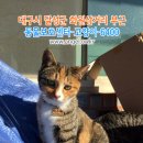 화원삼거리 이미지